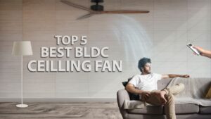 Read more about the article Atomberg Gorilla Fan : Top 5 Best BLDC Ceiling Fan